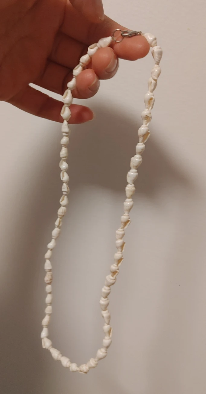 Natural Seashell Necklace