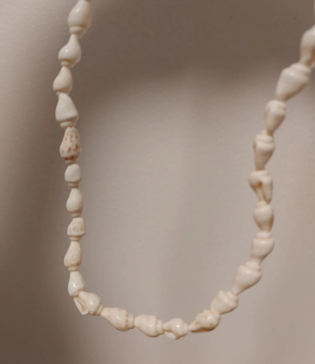Natural Seashell Necklace - photo 3