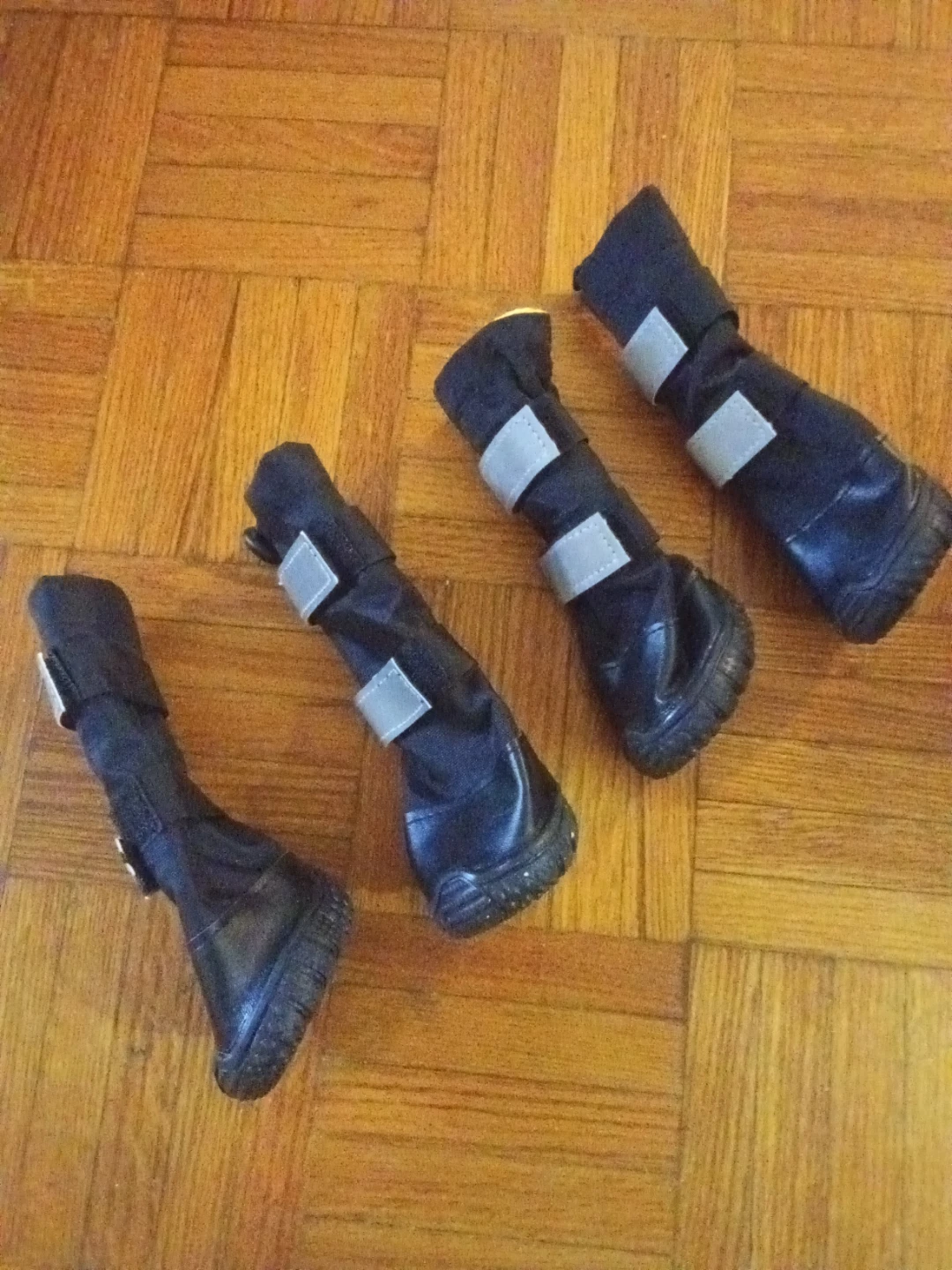 Set of 4 Black Dog Boots. Brand new. Medium