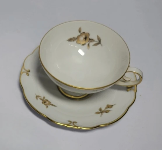 Ilmenau Graf von Henneberg Carmen Tea Cup and Saucer