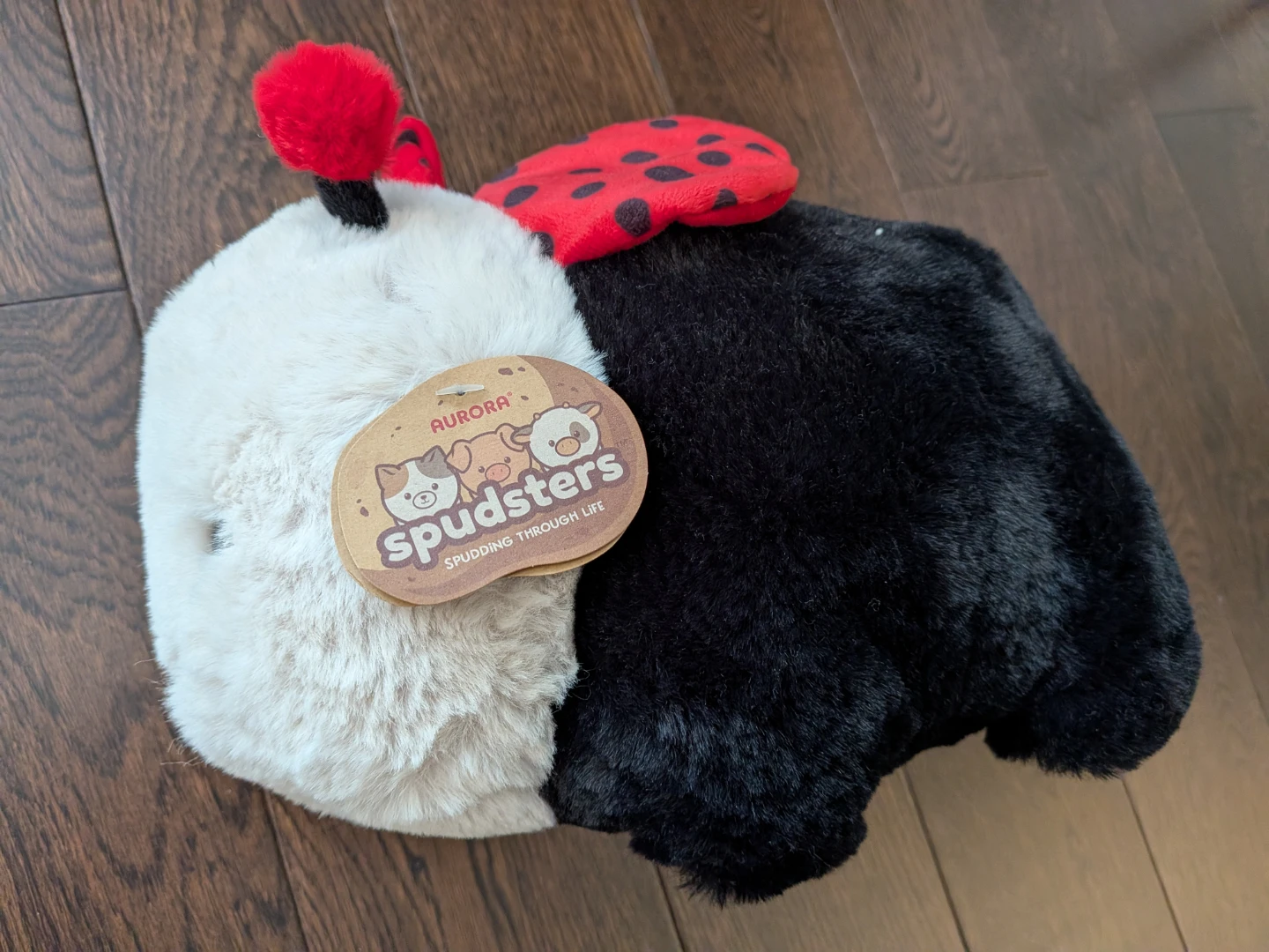 Ladybug Spudster - photo 4