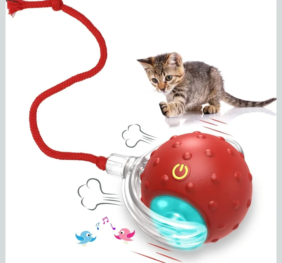 Interactive Chirping Motion Cat Toy