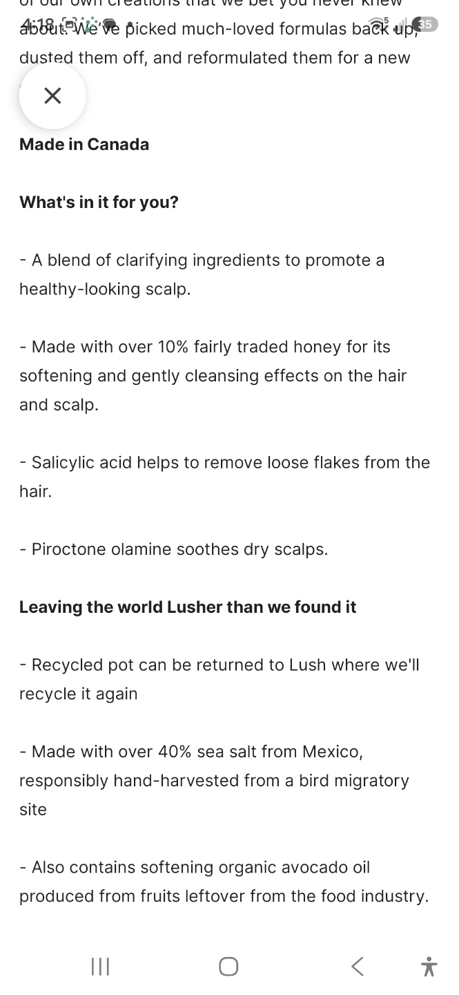 Lush Ginger Shampoo 275g - photo 3