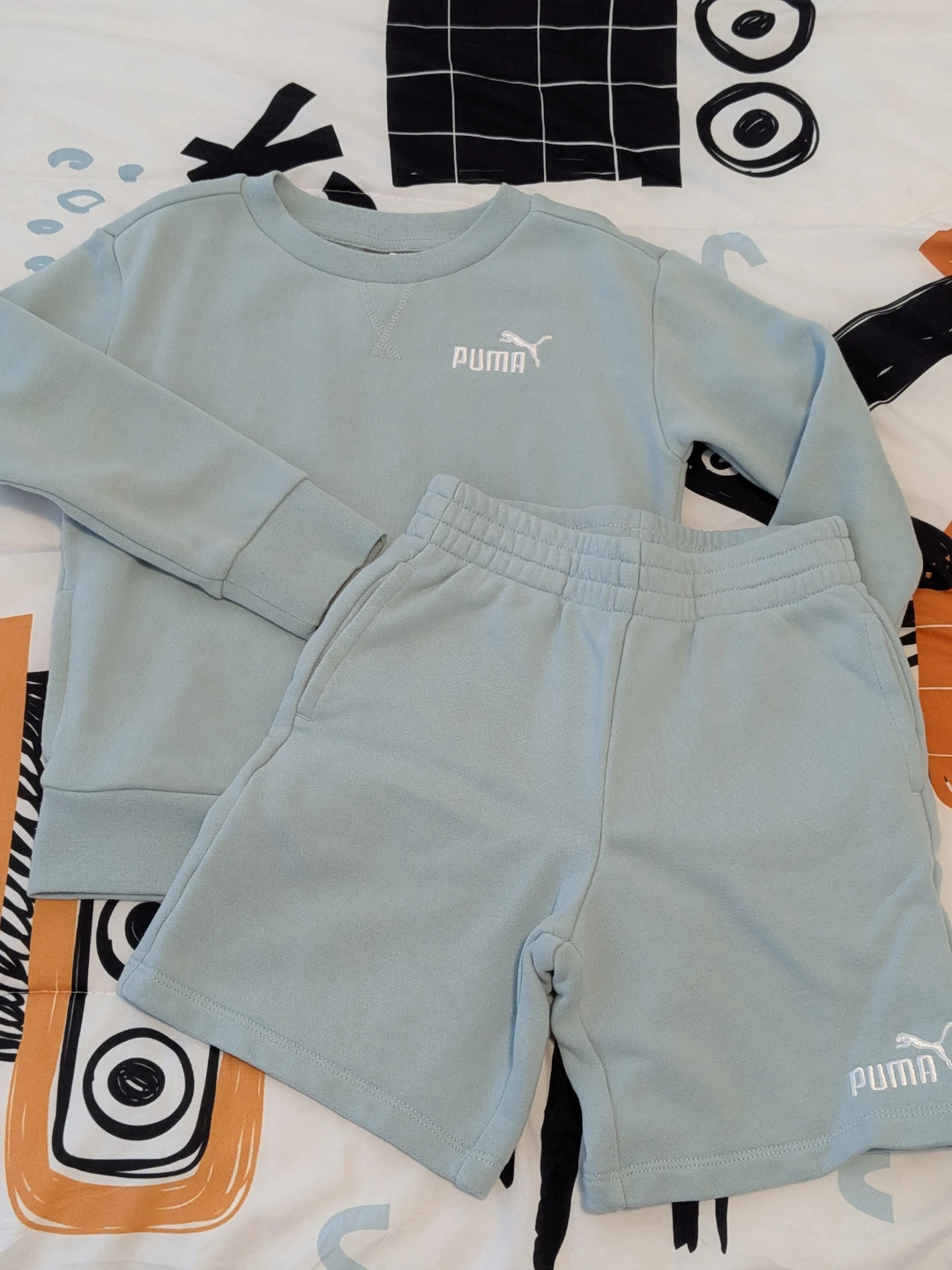 Puma Kids Sweatshirt and Shorts Set