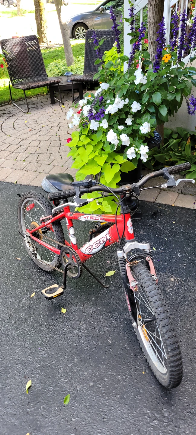 CCM XS 20-Inch Kids Mountain Bike