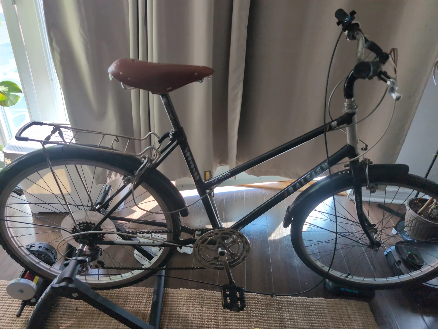 Raleigh Oasis Women's Step-Through,bNeeds Gear Cable Replacement