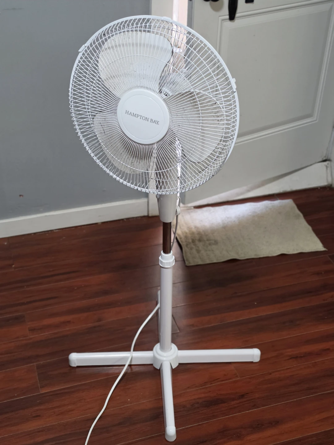 Fan