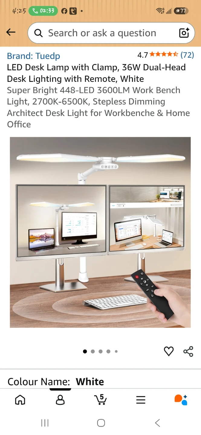 Dual-Head LED Desk Lamp with Clamp