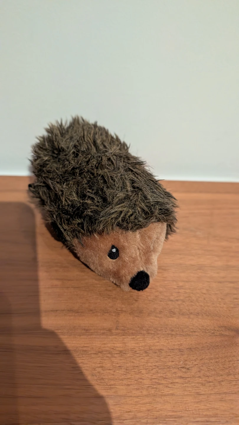 Hedgehog Dog Toy  Shipping