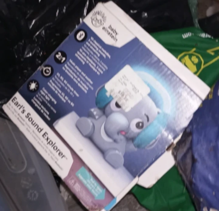 Baby Einstein Earl's Sound Explorer