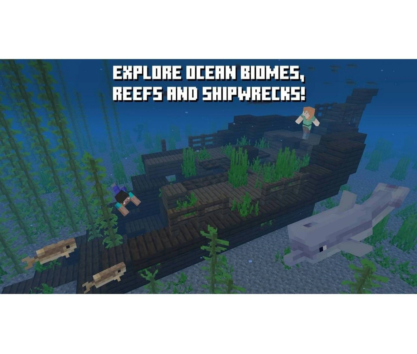 Minecraft for Nintendo Switch - photo 5