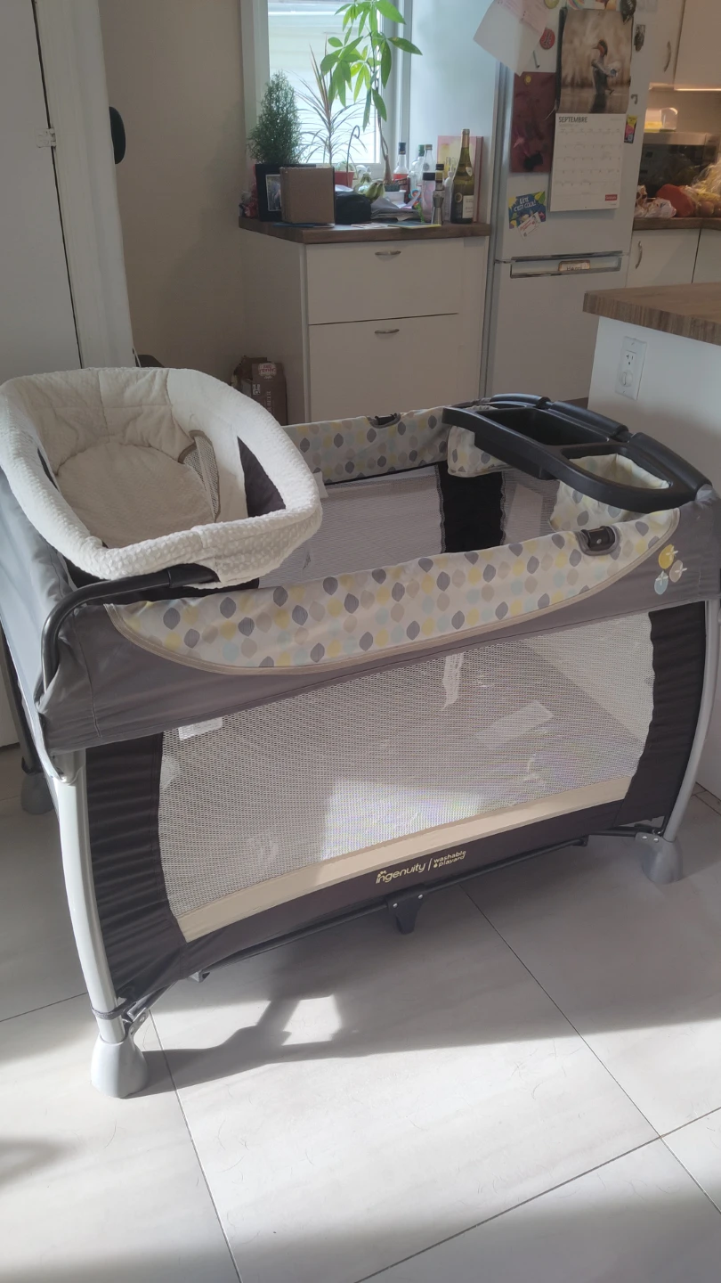 Ingenuity washable playpen