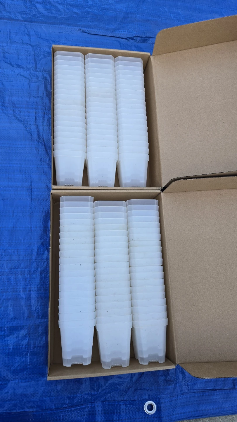 Set of 120 Clear Plastic Plant Pots