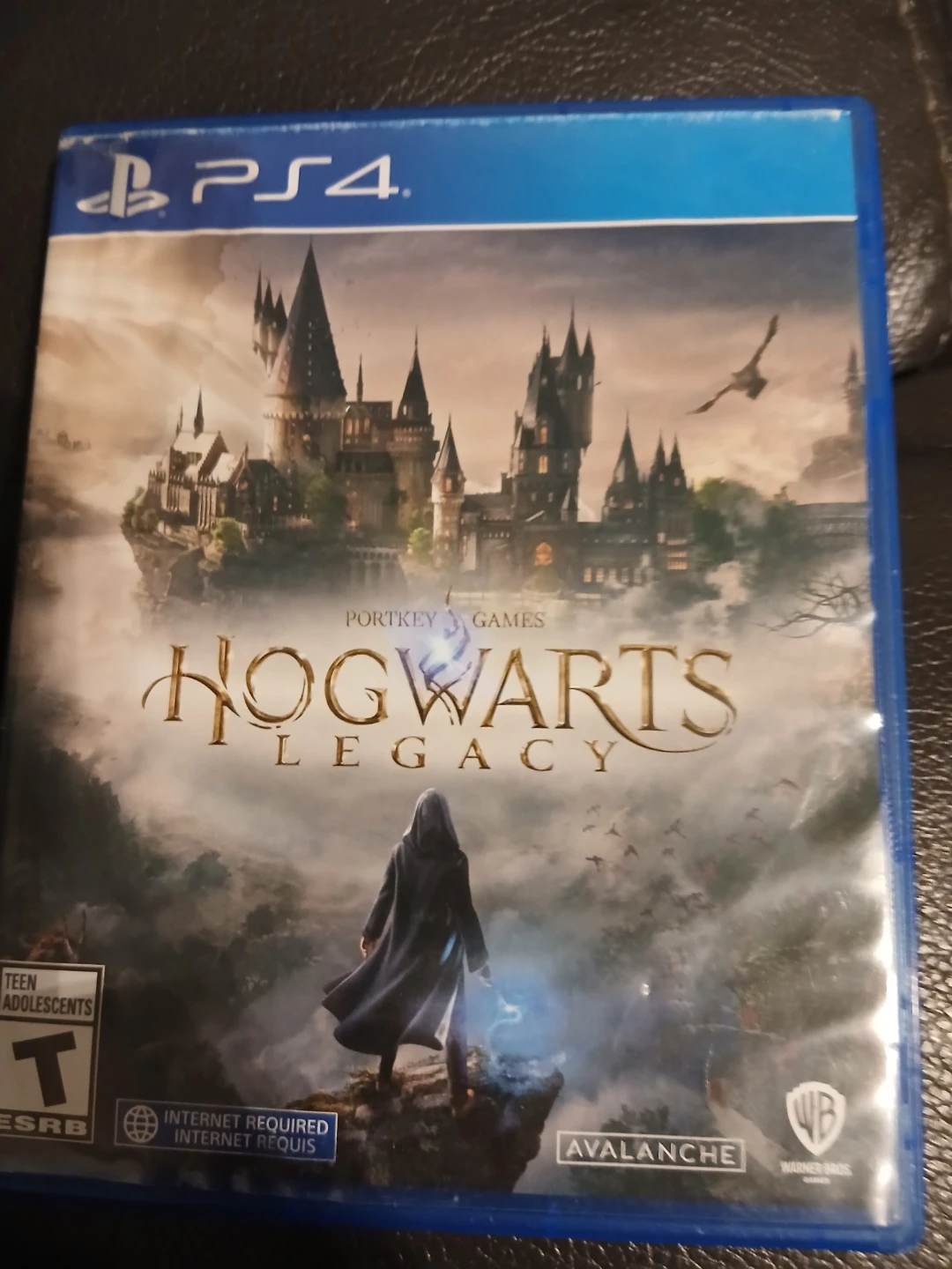Hogwarts Legacy for PS4 - photo 4