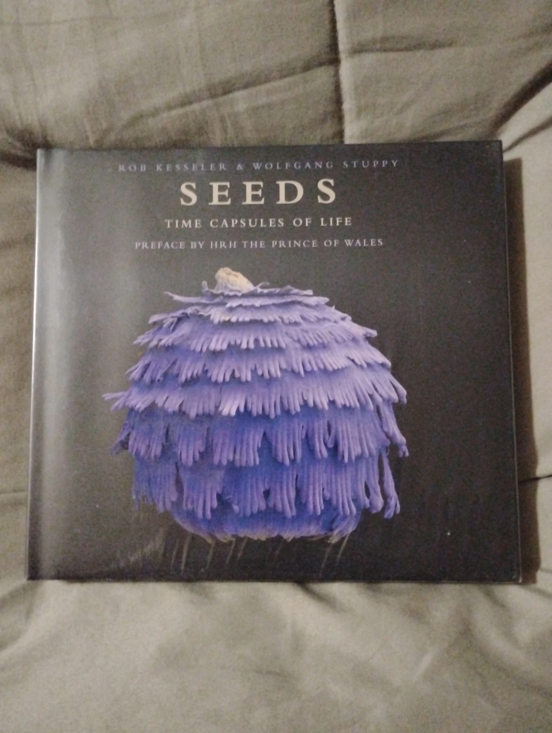 Seeds: Time Capsules of Life by Kesseler & Stuppy