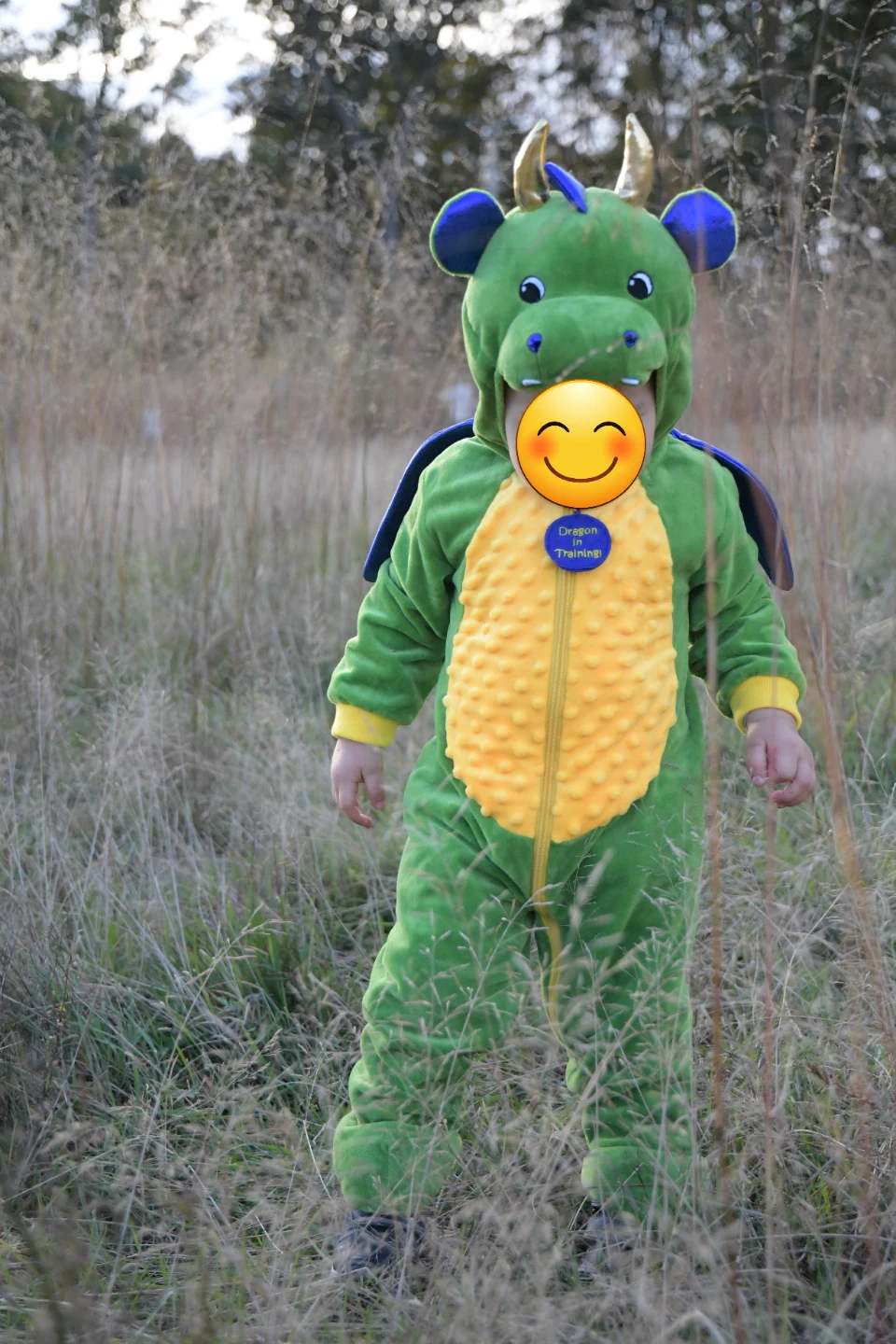 Green & Yellow Infant One-Piece Character Costume - Size 18M