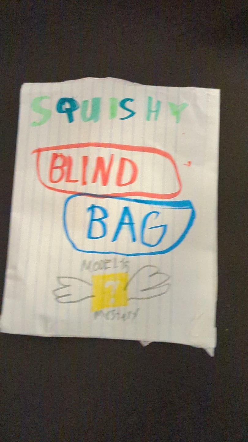 Handmade Squishy Mystery Blind Bag