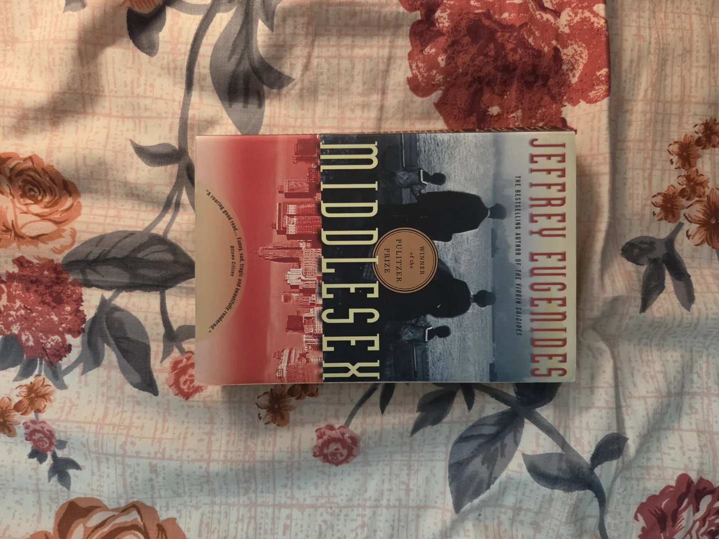 12 popular fiction books - photo 5