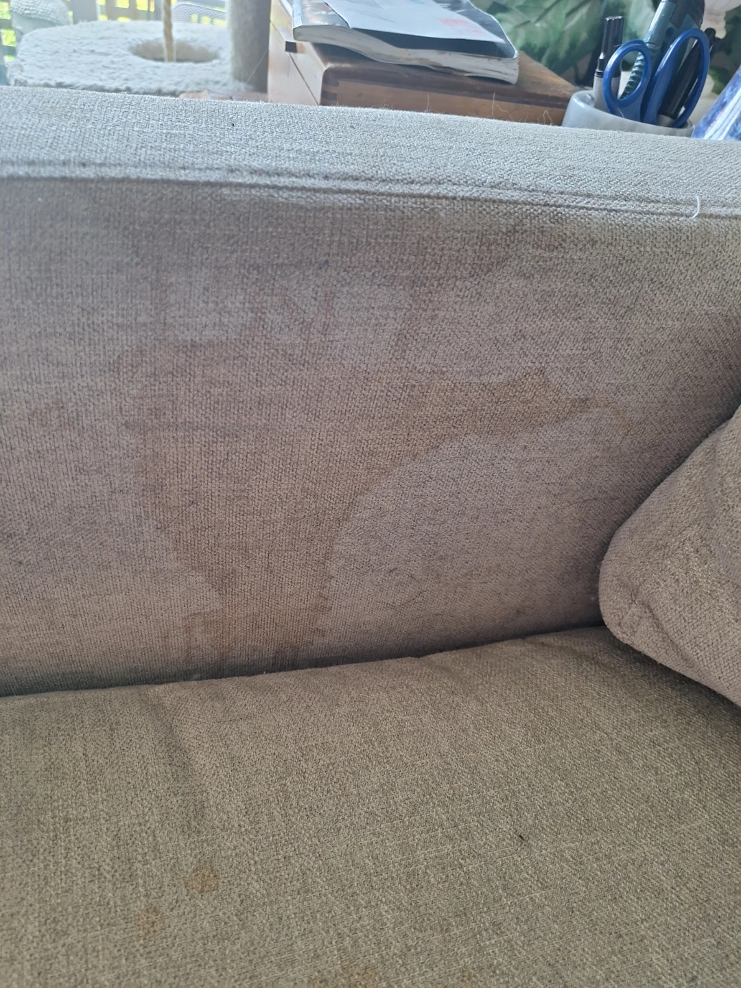 Free Grey Down Filled Sofa - photo 5