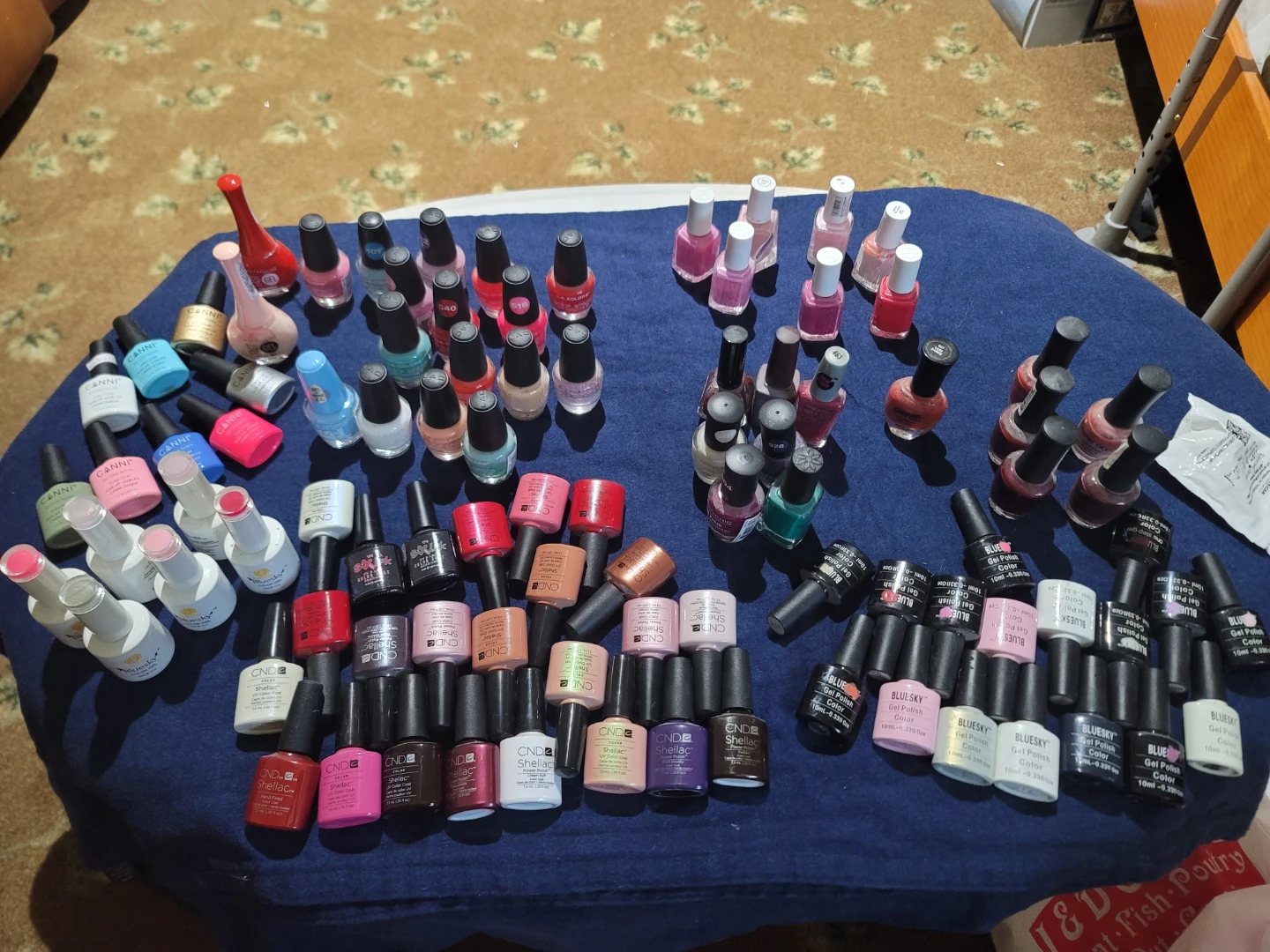 Large  Assorted Gel Nail Polishes