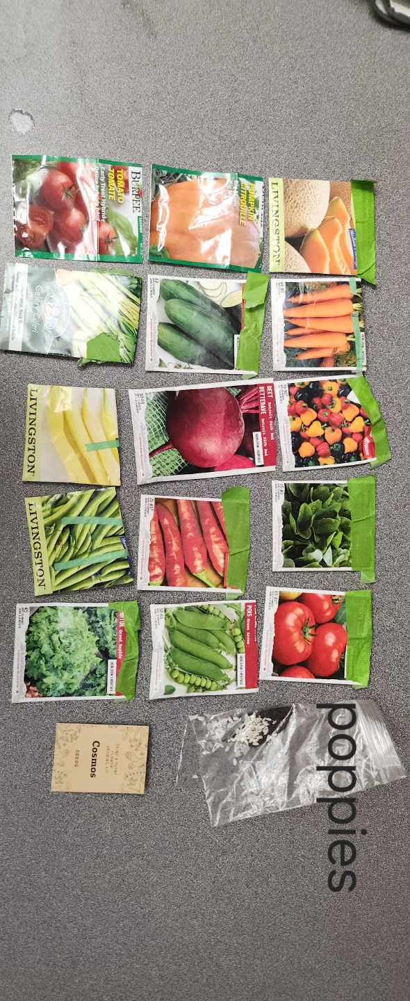 Assorted Vegetable and Flower Seeds Collection