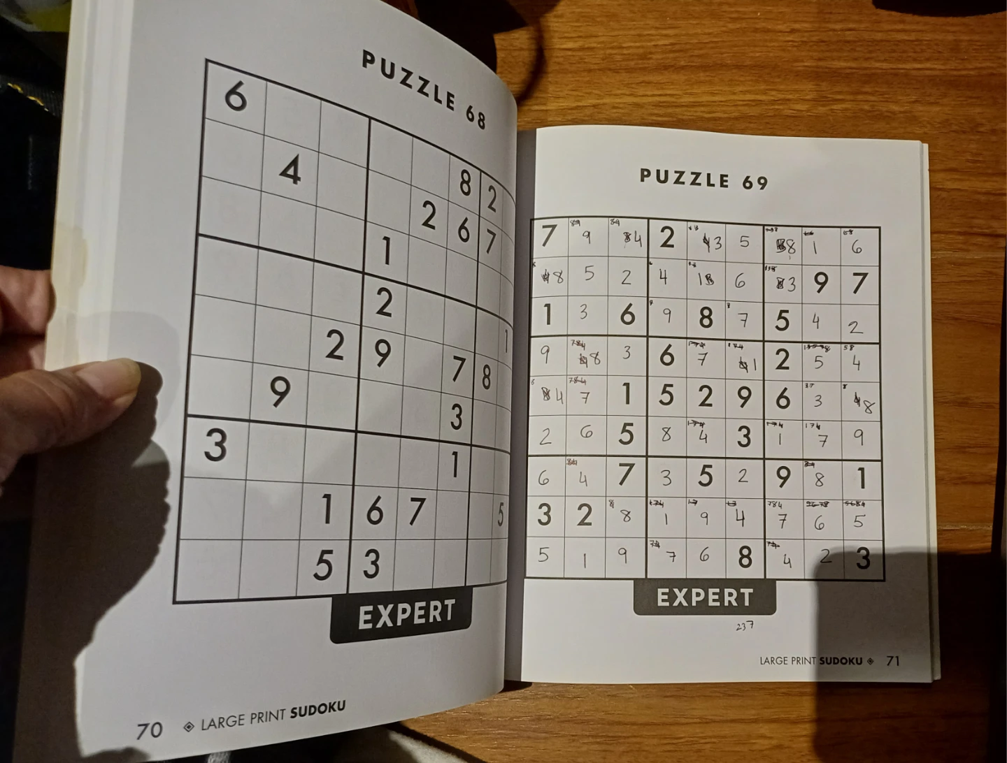 Papp Puzzles Large Print Sudoku Book - photo 4
