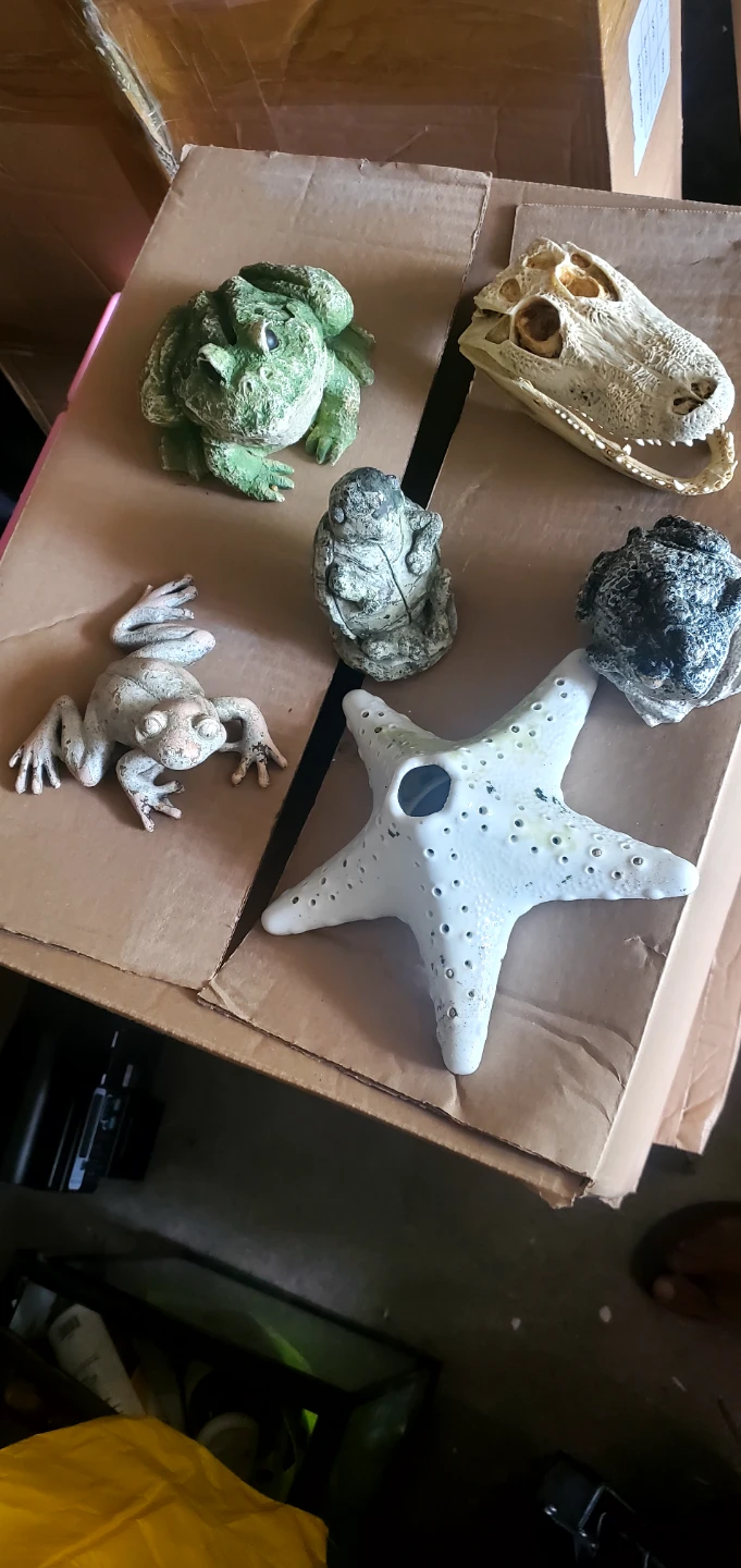 Assorted Aquarium Ornaments