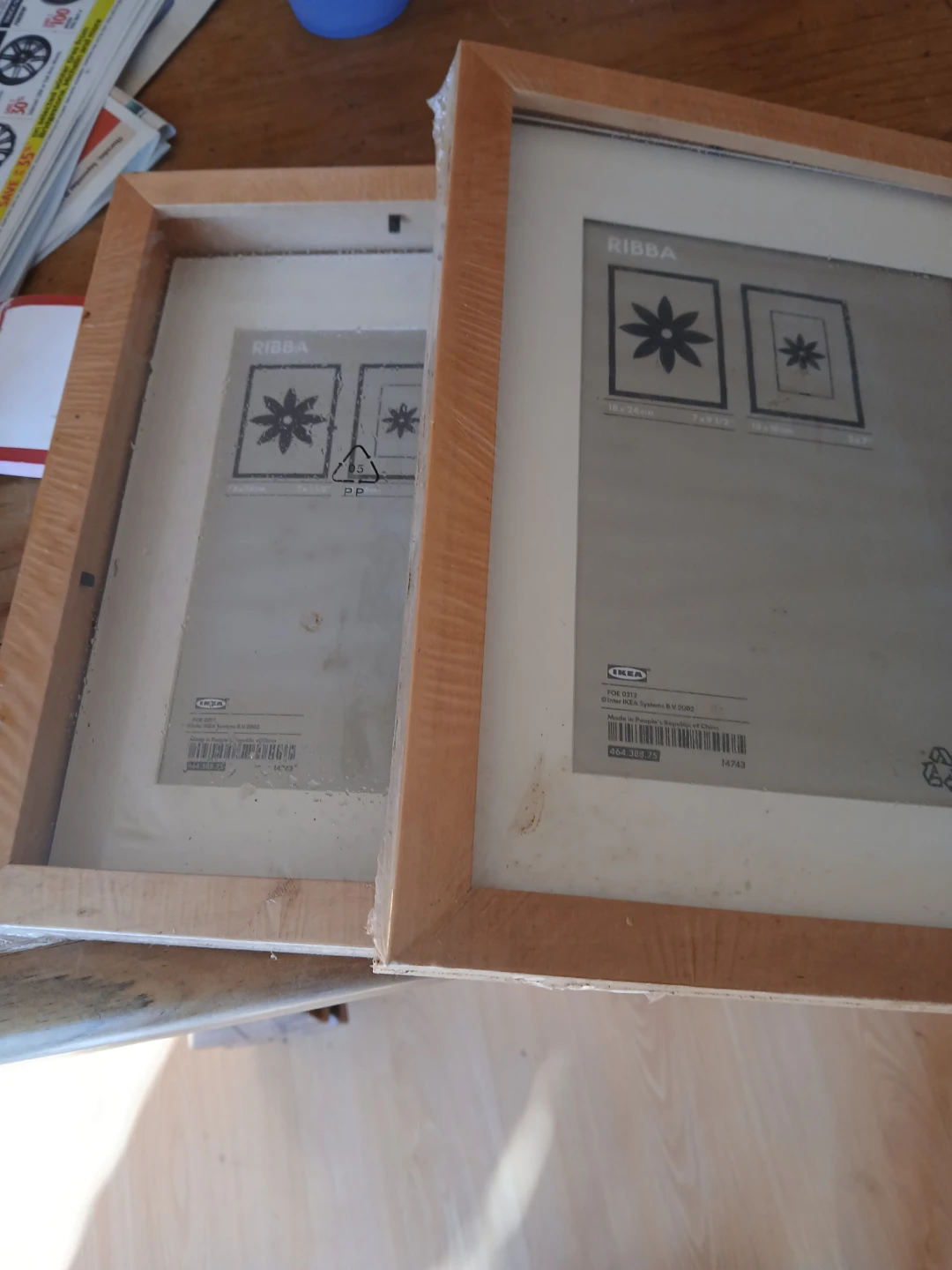 Two IKEA RIBBA Picture Frames