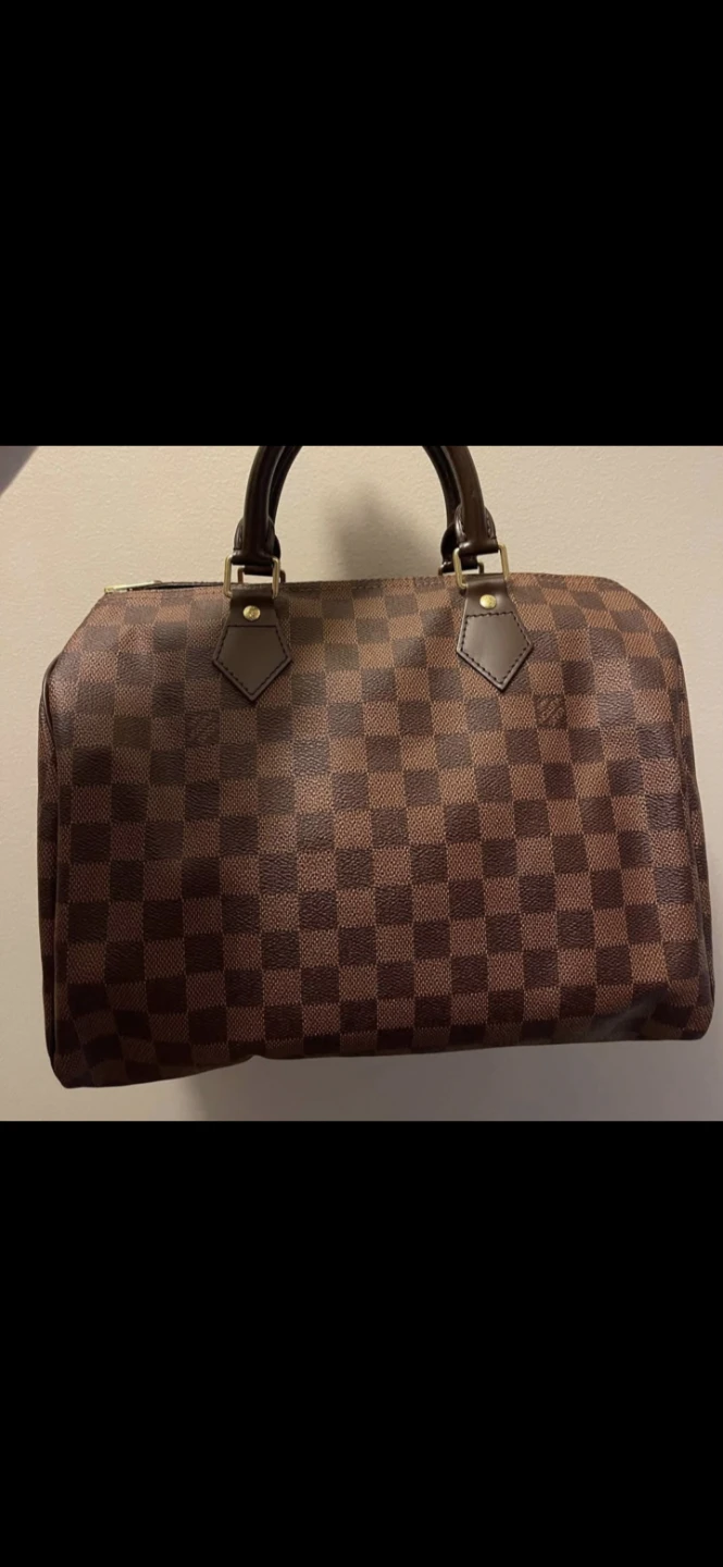 Louis Vuitton Damier Ebene Speedy Handbag