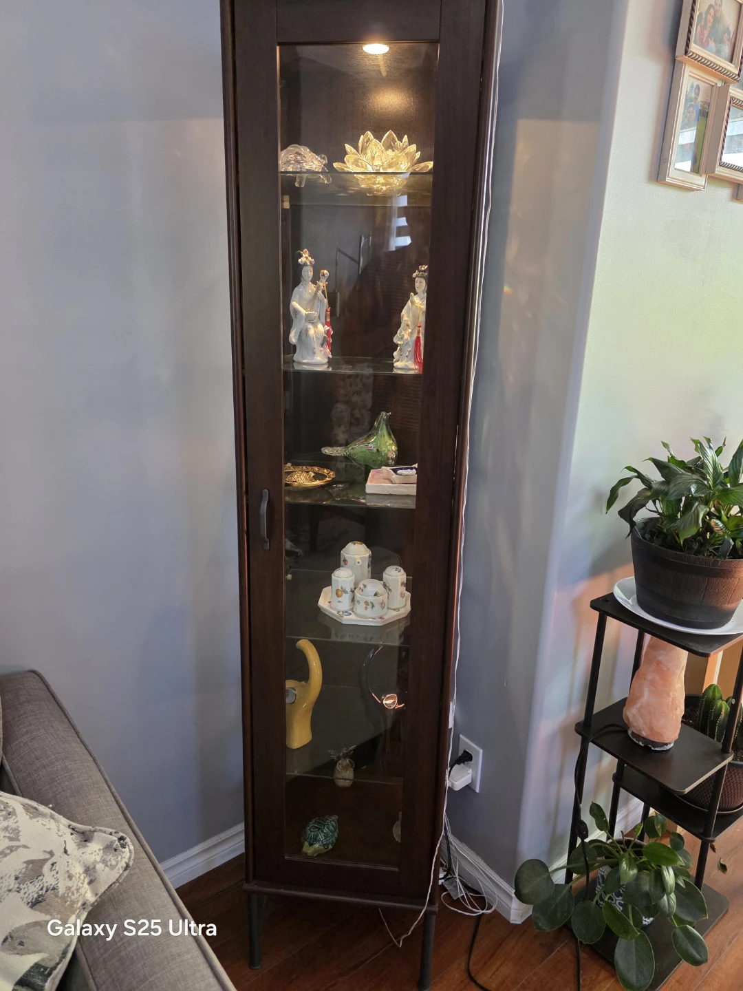 Tall Dark Wood Display Cabinet