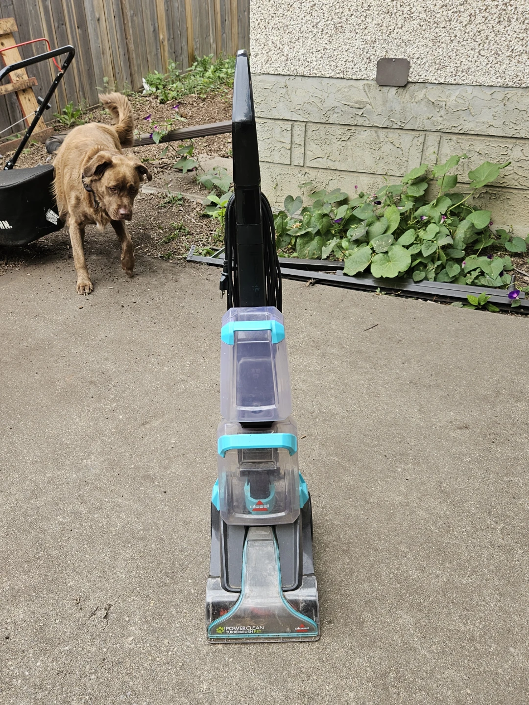 Bissell PowerClean TurboBrush Pet Carpet Cleaner - photo 2