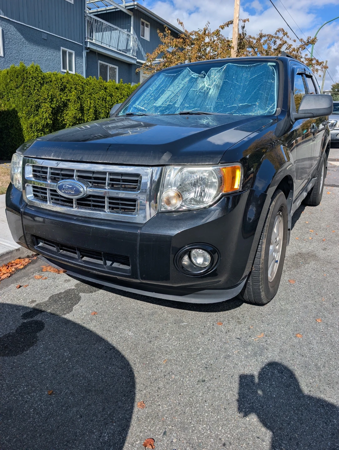 2009 Black Ford Escape XLT 4WD - photo 3