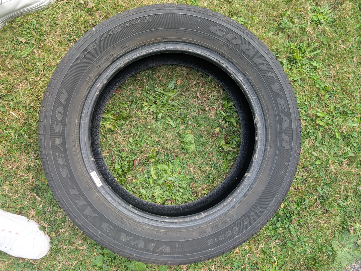 Goodyear Viva All-Season Tire 205/55R16