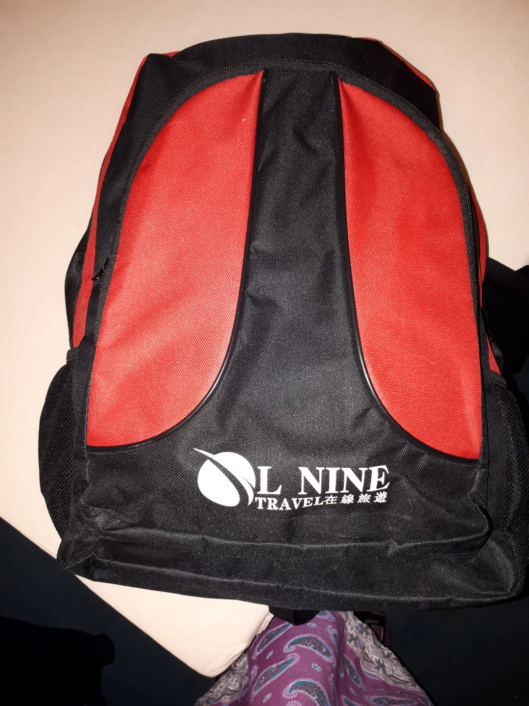 L Nine Travel Backpack