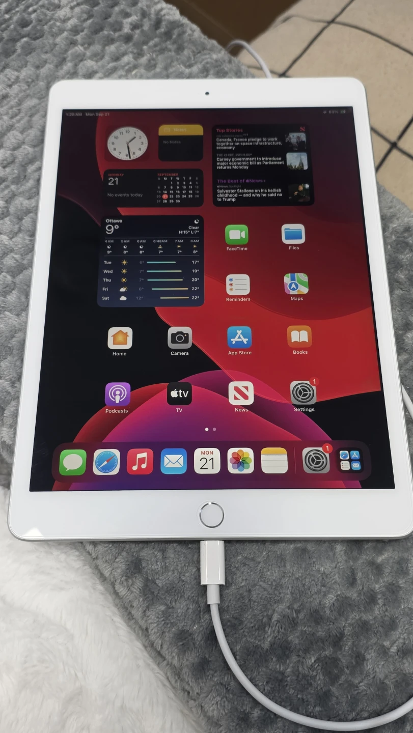 Apple iPad 7th Gen 128GB Wi-Fi + Cellular (LTE)