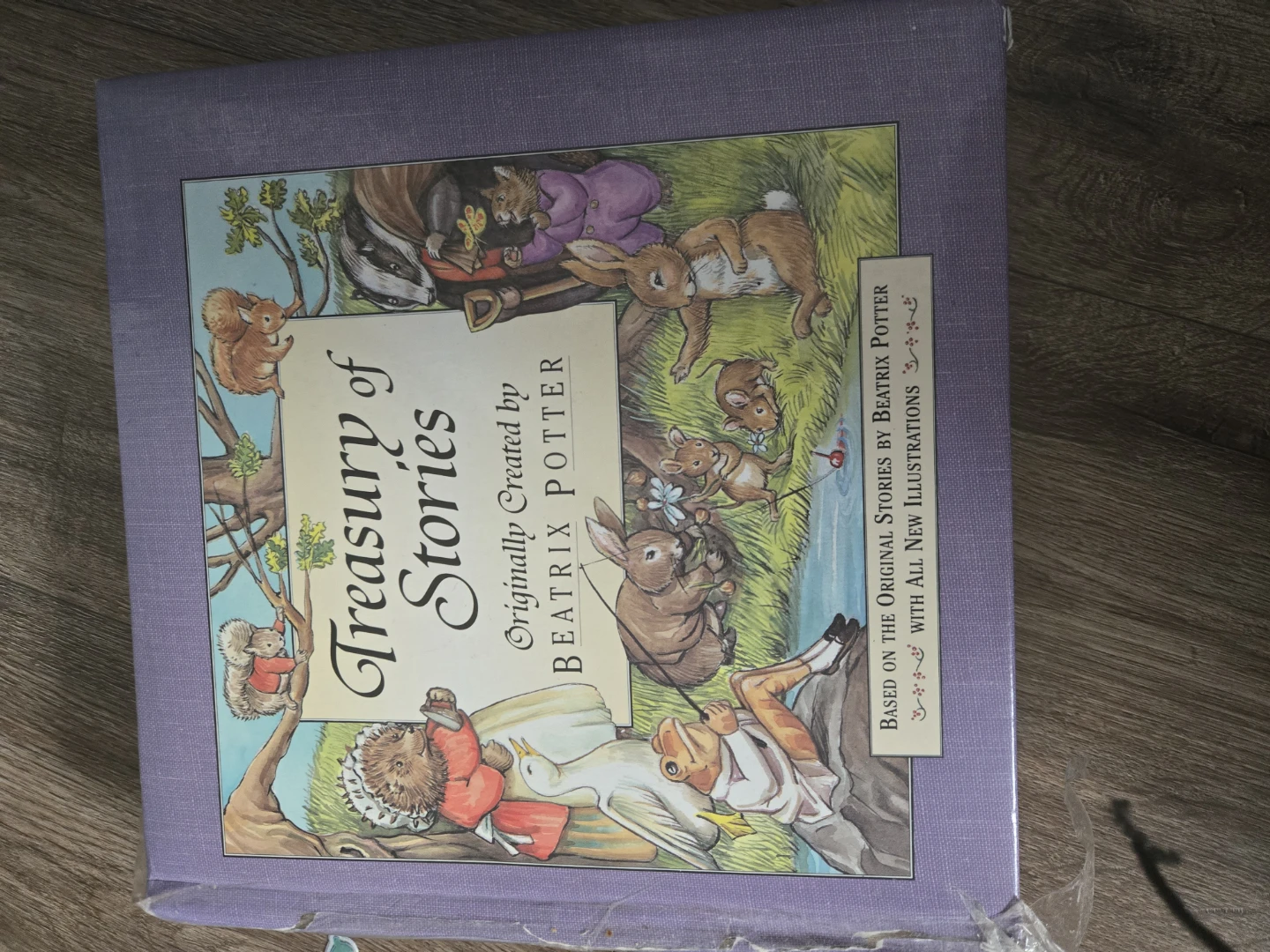 Beatrix Potter Treasury of Stories 🏈