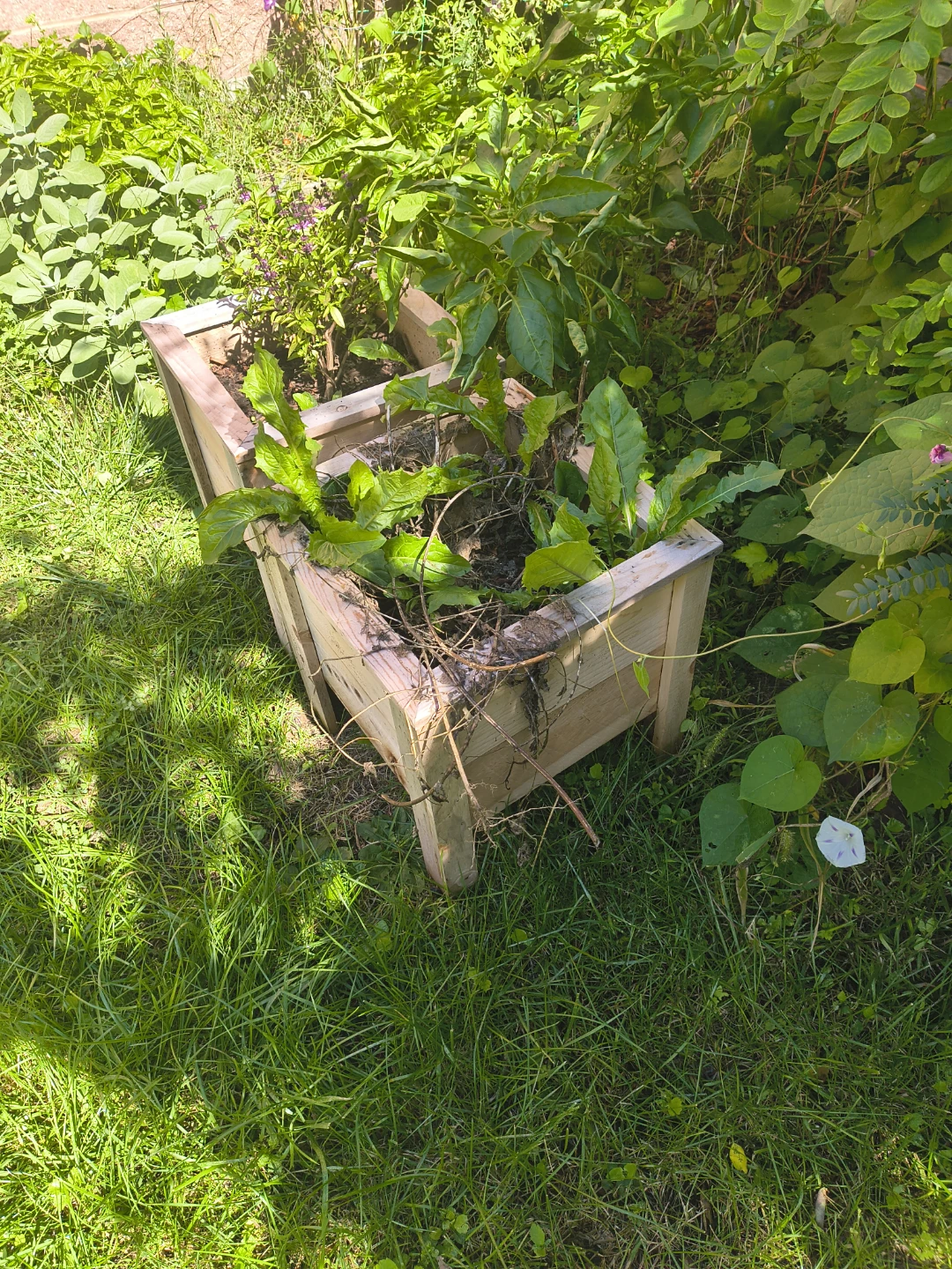 Raised planters