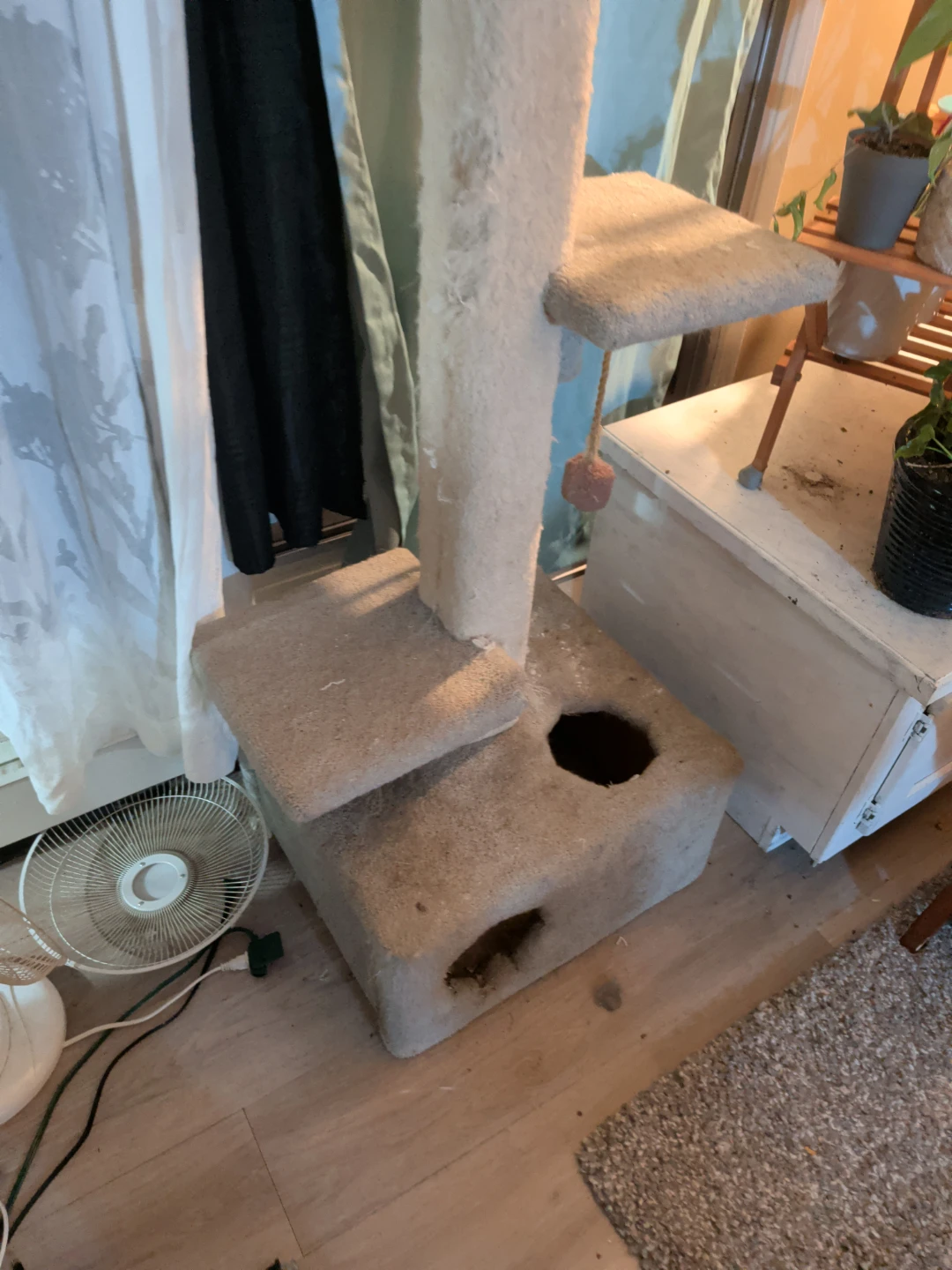 Beige Carpeted Cat Tree - photo 2
