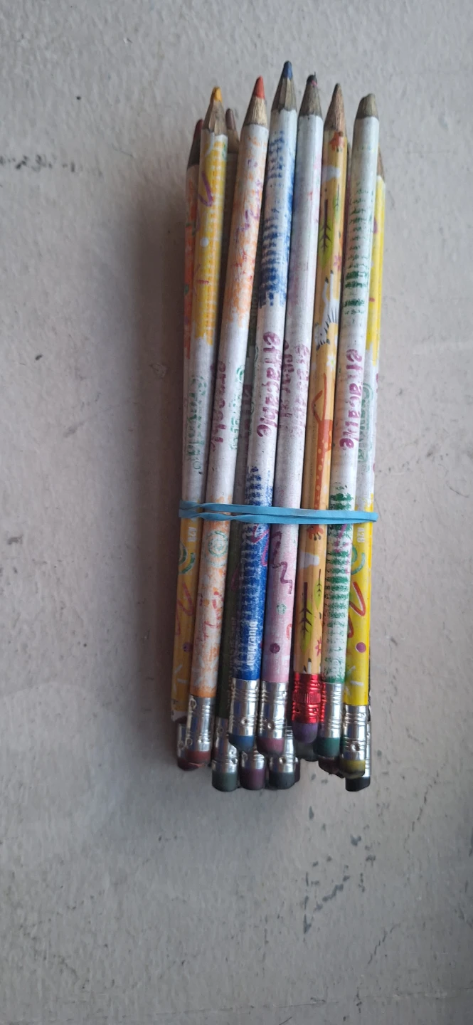 Crayola Erasable Coloured Pencils🏈
