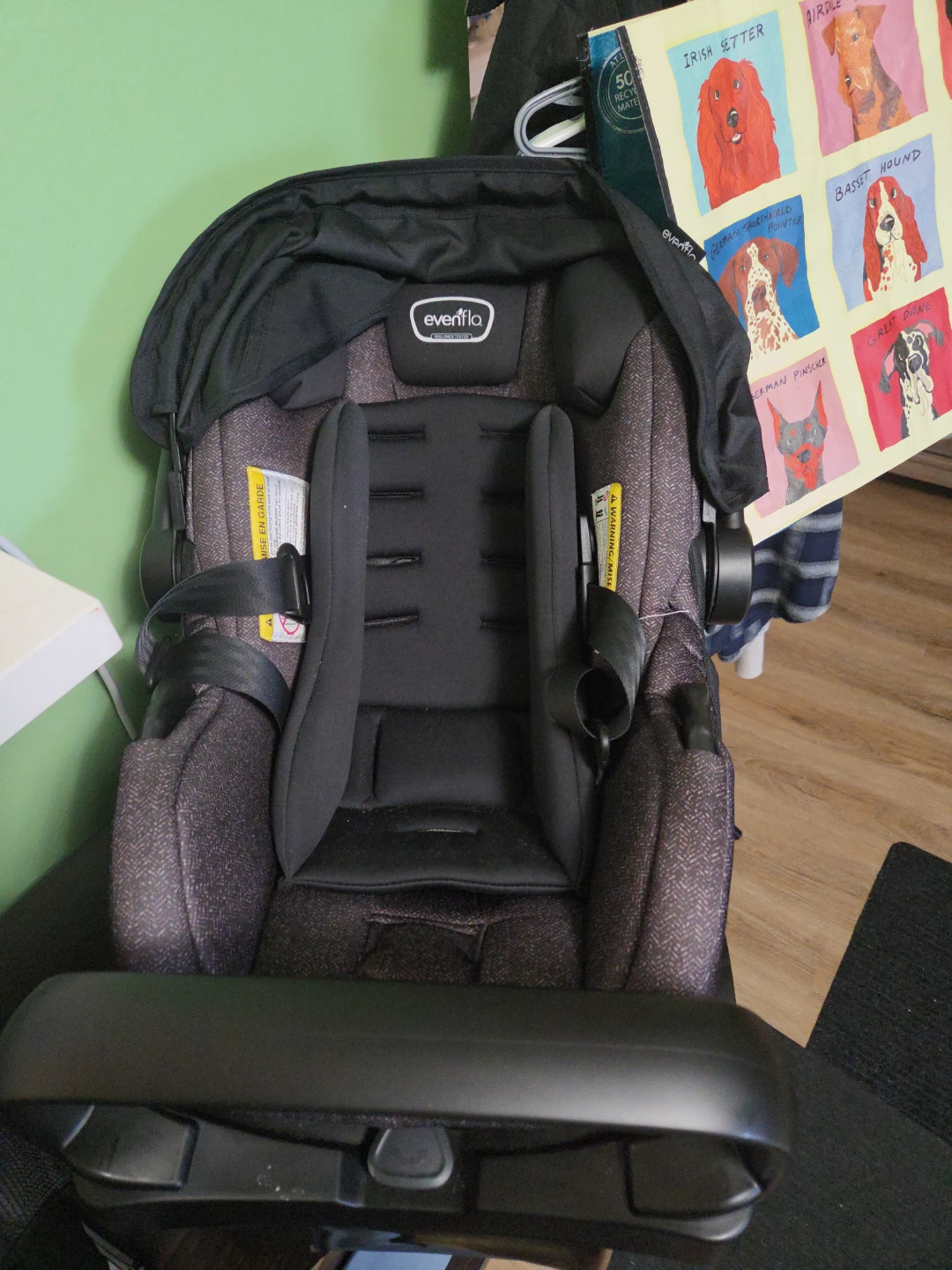 Evenflo Infant Car Seat