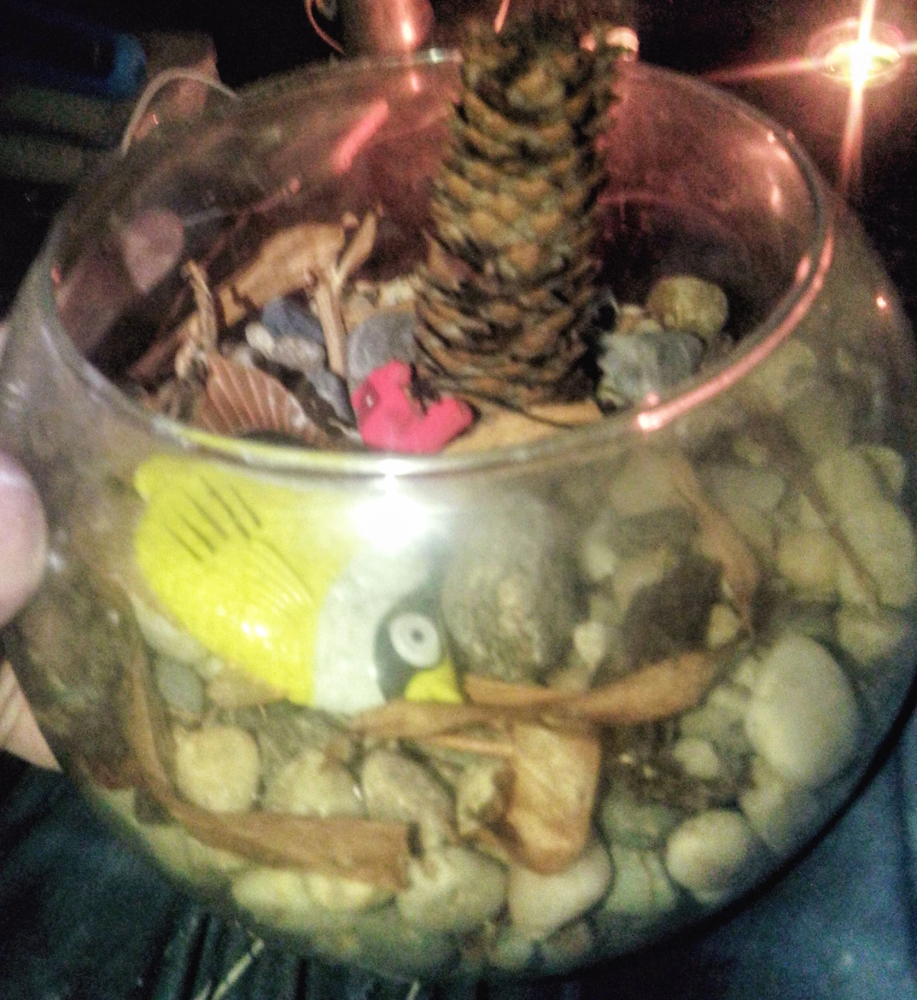 Glass Fish Bowl Decor