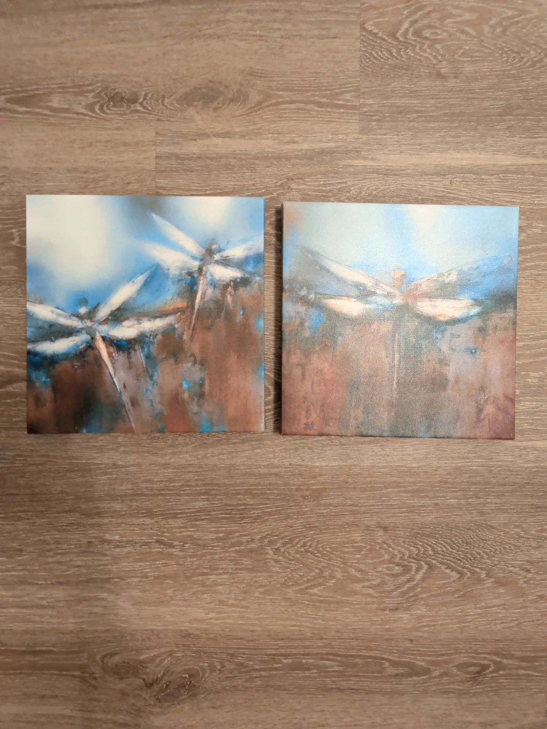 Set of Two Dragonfly Canvas Prints