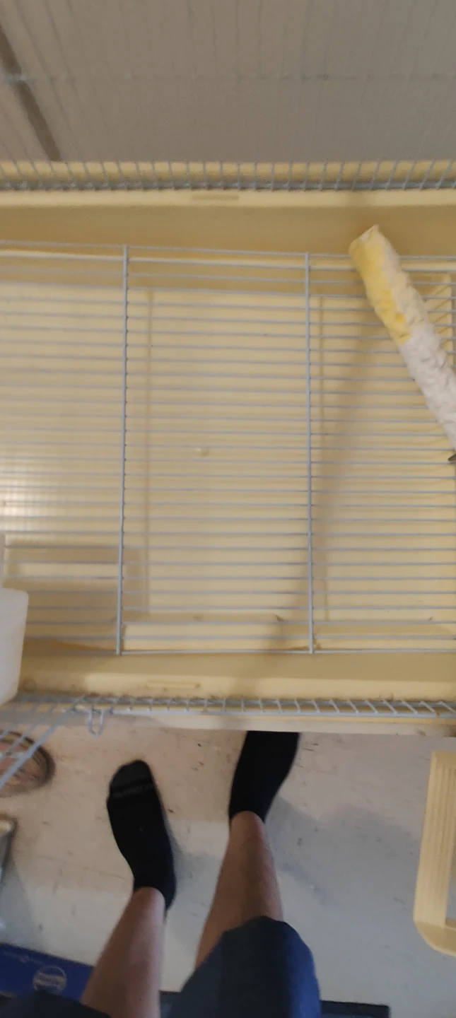 White Metal Bird Cage with metal stand wheels baseboard - photo 4