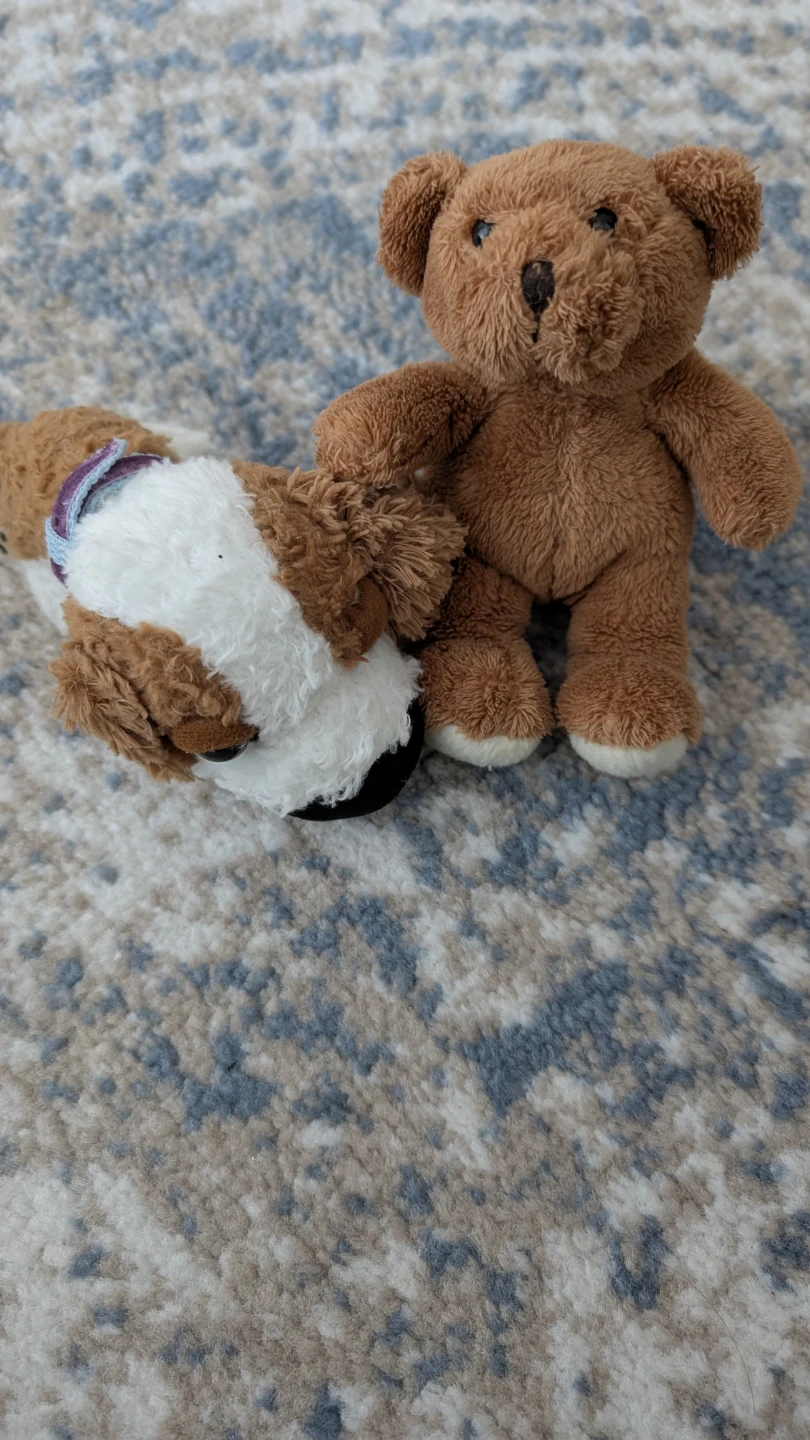 Set of Two Small Plush Toys