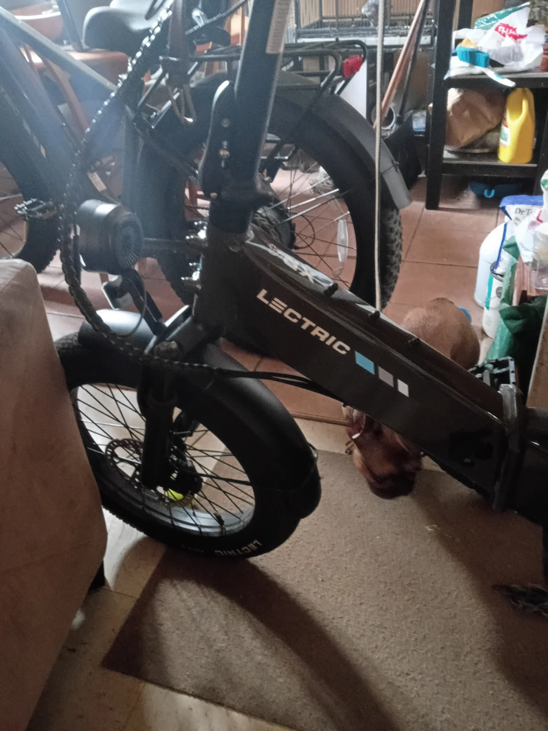 Lectric XP 4.0 Electric Bike - photo 3