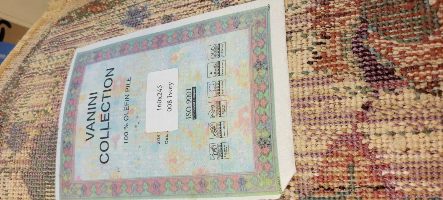 Vanini Collection Area Rug - photo 3