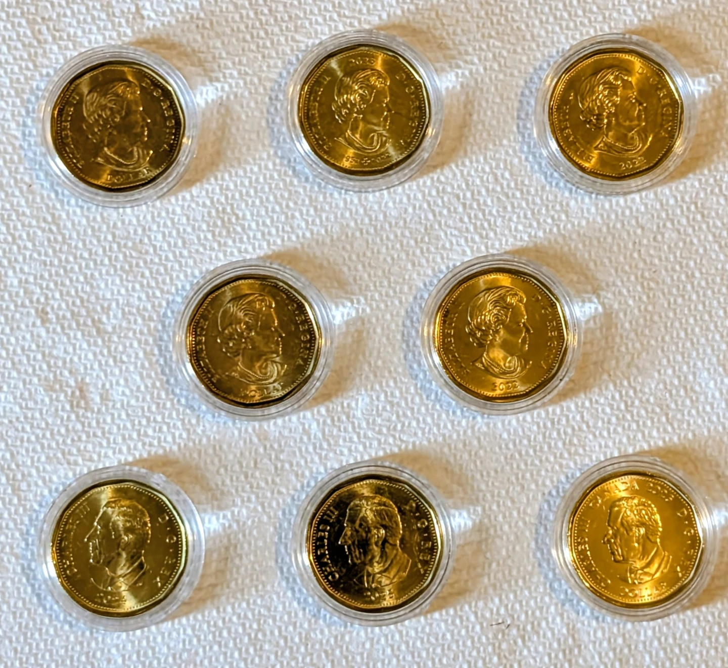 Complete Loonie Collection - Set of 8 - photo 2