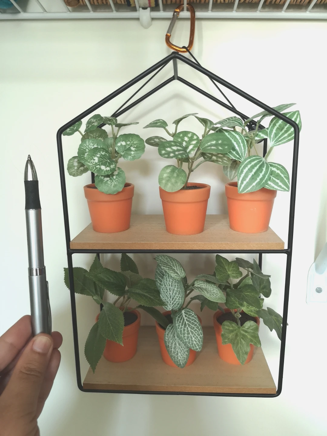 Cute hanging plant display