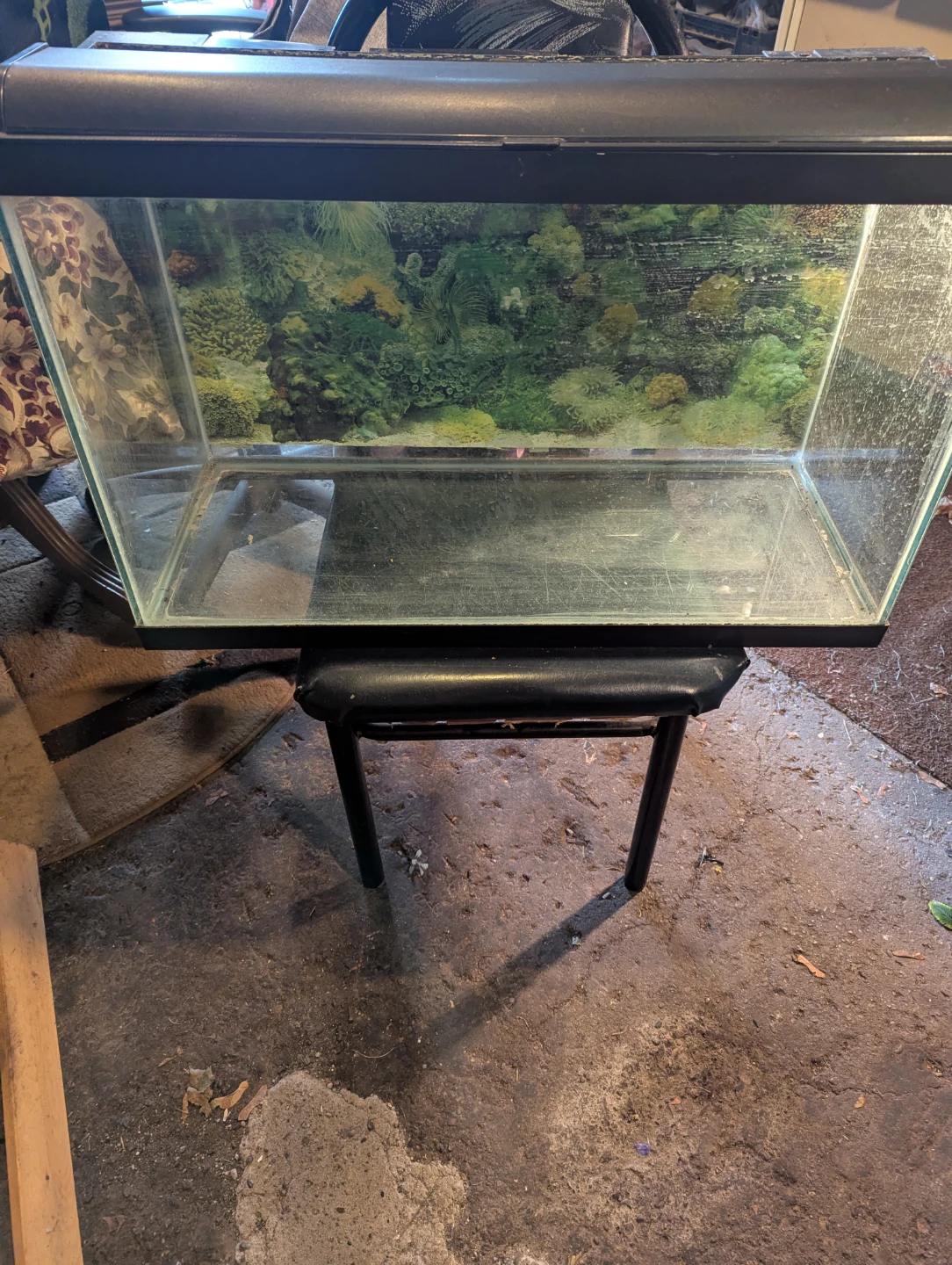 Aquarium with metal stand - photo 3
