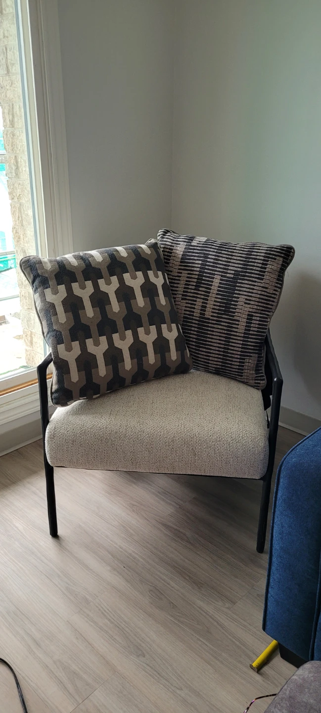 2 Large Accent/Throw Pillows